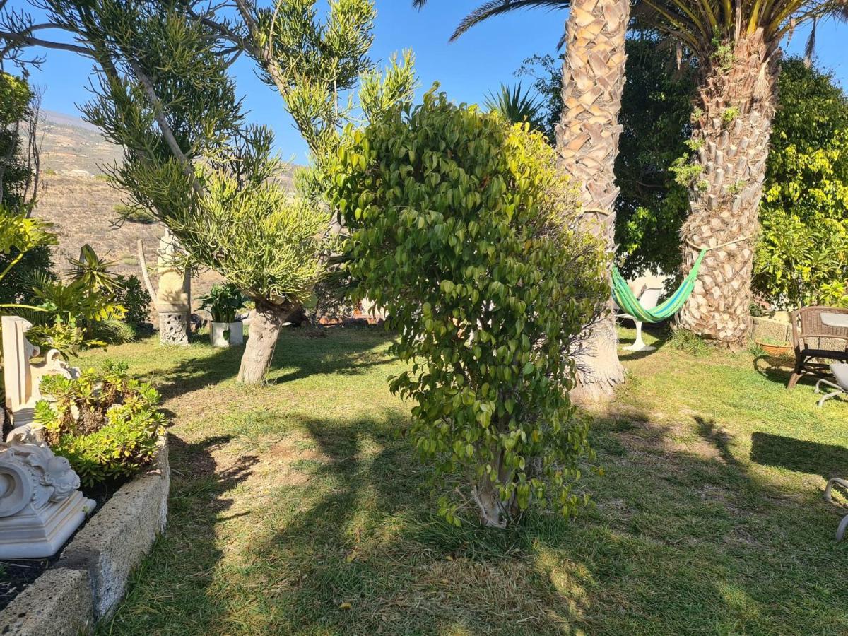 Finca Tropical Арико-Вьехо Экстерьер фото